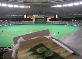 lions04091502.jpg