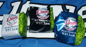 lions131216.jpg