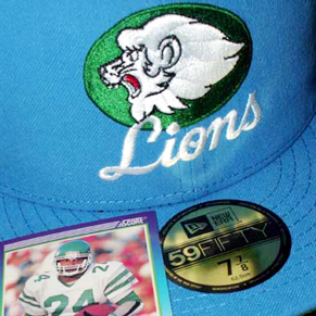lions140717.jpg