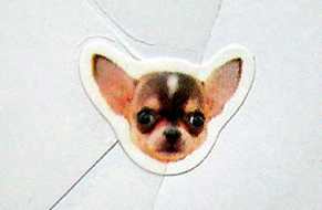 m_atsui1403042.jpg