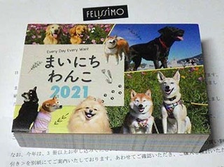 mainichi201008.jpg