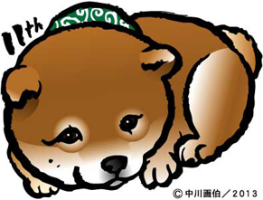 mamesuke11_130412.jpg