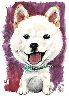 mamesuke23_191011.jpg