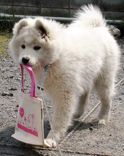 matsuiyo1404122.jpg