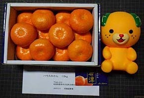 mikan190621.jpg