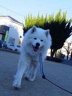 moude1901011.jpg