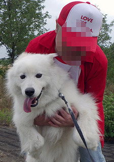 moya_i1706111.jpg