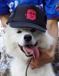 moya_i1807213.jpg