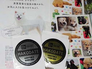 moyashi2303052.jpg
