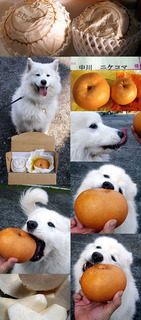 nashi_nike101207.jpg