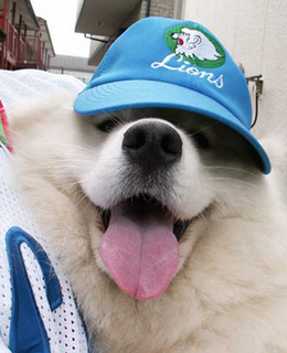 nike2005_130421.jpg