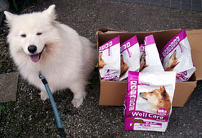 nike_food111004.jpg