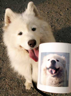 nike_mug130818.jpg