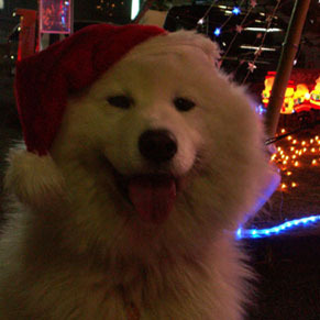 nike_xmas101224.jpg