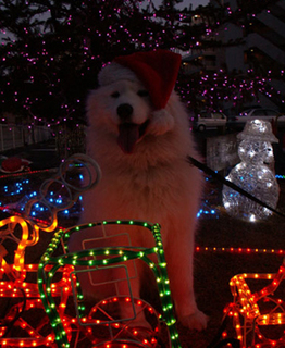 nike_xmas111219.jpg