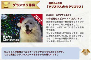 nike_xmas130221.jpg