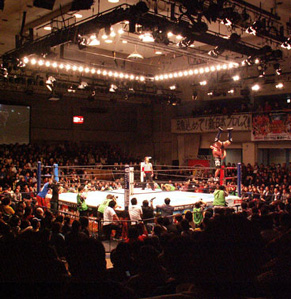 njpw0911237.jpg