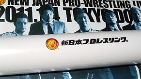 njpw_c101230.jpg