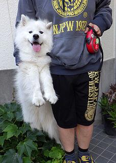 njpw_iyo170614.jpg