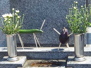 ohaka_are250726.jpg