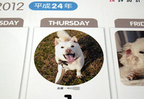 ohban_koma110915.jpg