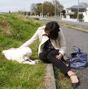 okusama_i140405.jpg