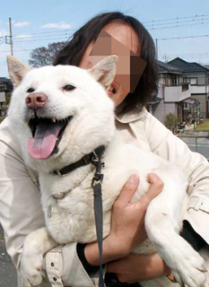 okusama_k140405.jpg