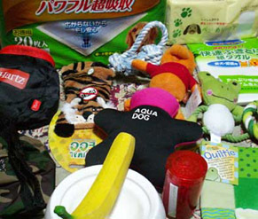 omocha121129.jpg