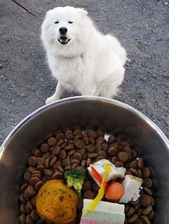 osechi1801012.jpg