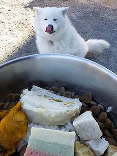 osechi1801021.jpg