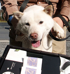 oseibo0912123.jpg