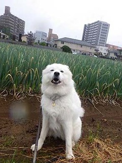 p_i1910221.jpg