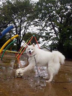 p_i1910223.jpg