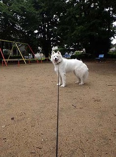 park_i1808072.jpg