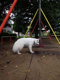 park_i1808122.jpg