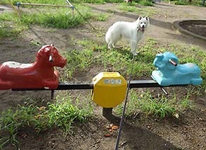 park_i1808164.jpg