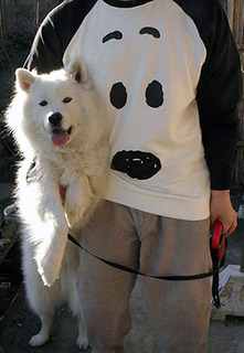 peanuts170112.jpg