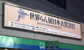 ran110227.jpg
