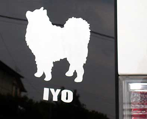 s_iyo140620.jpg