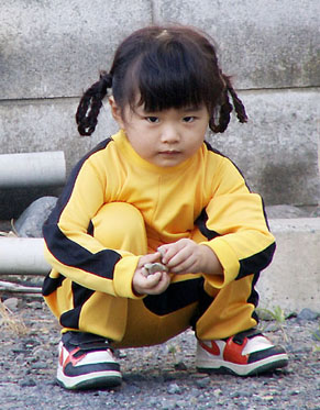 sae_0909105.jpg