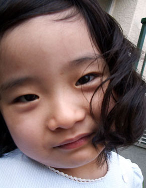 sae_1009115.jpg
