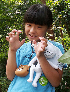sae_1609111.jpg