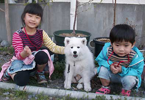 saekoh_iyo140401.jpg