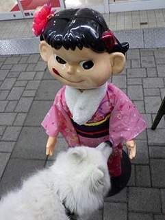seijin180108.jpg