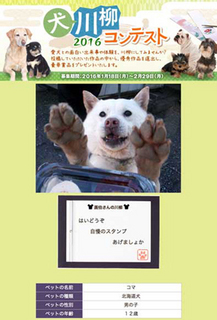 senryu160410.jpg