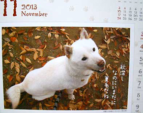 senryu_koma120923.jpg