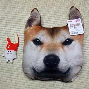 shiba_1907081.jpg