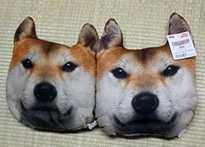 shiba_1907082.jpg