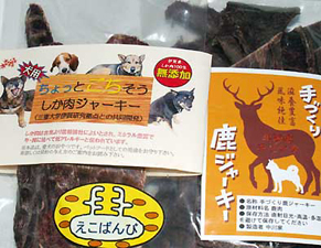 shika130304.jpg