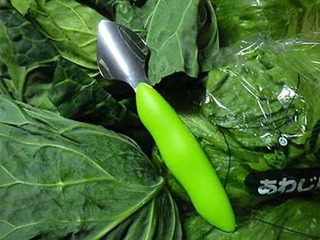 shin2012091.jpg